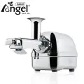Angel AG-5500 Stainless Steel Twin Gear Cold-Press Slow Juicer