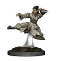 Dungeons and Dragons Premium Female Human Monk Pre-Painted Figure