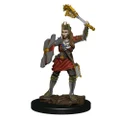 Dungeons and Dragons Premium Female Human Cleric Pre-Painted Figure