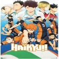 Haikyu!! Karasuno Team Poster