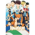 Haikyu!! Karasuno Team Poster