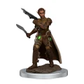 Dungeons and Dragons Premium Female Shifter Rogue Pre-Painted Figure