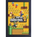 Super Mario Bros 2 Framed 11 inch x 17 inch Gel Coated Poster