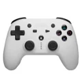 Retro Fighters Defender Bluetooth Edition Next-Gen PS3, PS4, PC Wireless Bluetooth Controller (White)