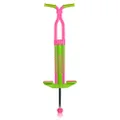 Flybar Master Kids Pogo Stick Pink/Green