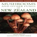 Photographic Guide to Mushrooms & Other Fungi by Upstart Press