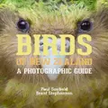 Birds of New Zealand by Brent Stephenson