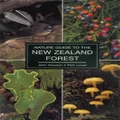 The Nature Guide to the New Zealand Forest by John Dawson