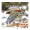 The Brilliance of Birds by Edin Whitehead
