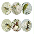 100% NZ: Birds & Botanicals of NZ Coasters - 100 Percent NZ