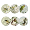 100% NZ: Birds & Botanicals of NZ Coasters - 100 Percent NZ