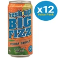 Fresh Up Big Fizz Feijoa Burst 500ml (12 Pack)
