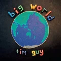 Big World (CD) By Tim Guy