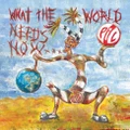 What The World Needs Now... (CD) By Public Image Ltd.
