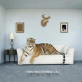 Cheetah In The City By Blu & Union Analogtronics (CDs)
