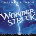 Wonderstruck by Brian Selznick (Hardback)