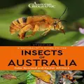 A Naturalist's Guide to the Insects of Australia by Peter Rowland