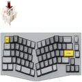 Keychron Q8 65% Alice RGB Gateron G Pro Brown Fully Assembled w/ Knob Hot-Swappable QMK Custom Mechanical Keyboard Silver Grey