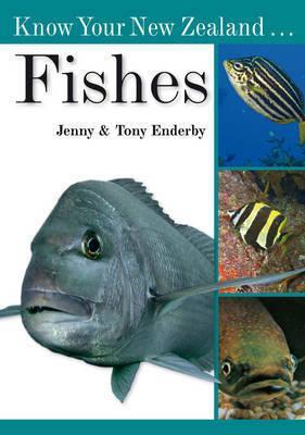 Know Your New Zealand Fishes