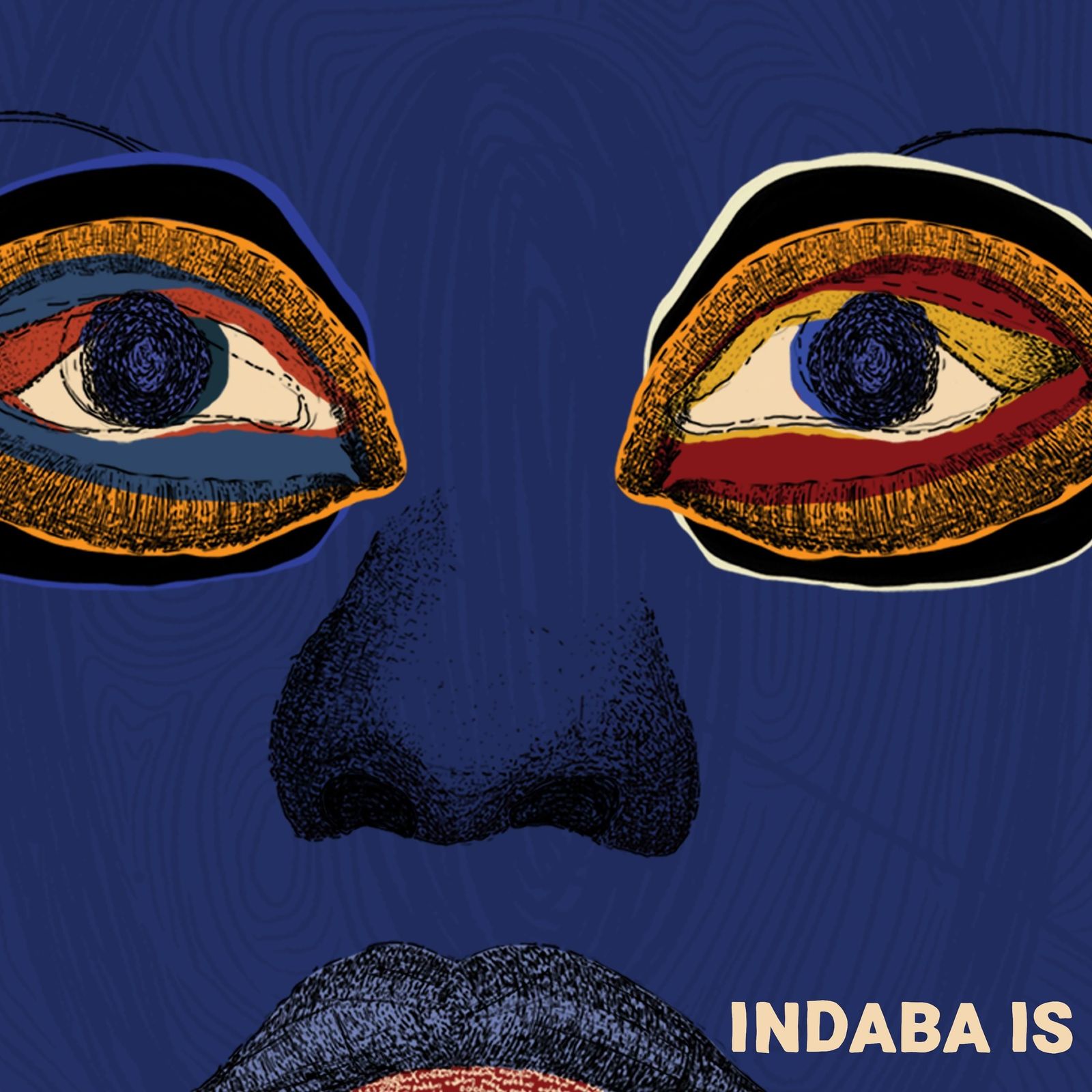 Indaba Is By Various Artists (CDs)