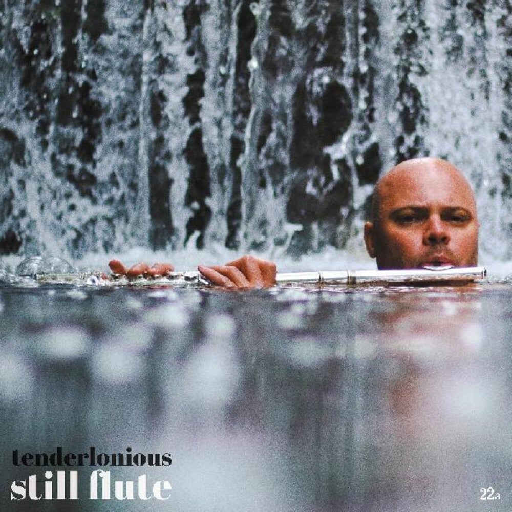 Still Flute (CD) By TENDERLONIOUS