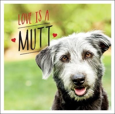 Love is a Mutt by Charlie Ellis (Hardback)