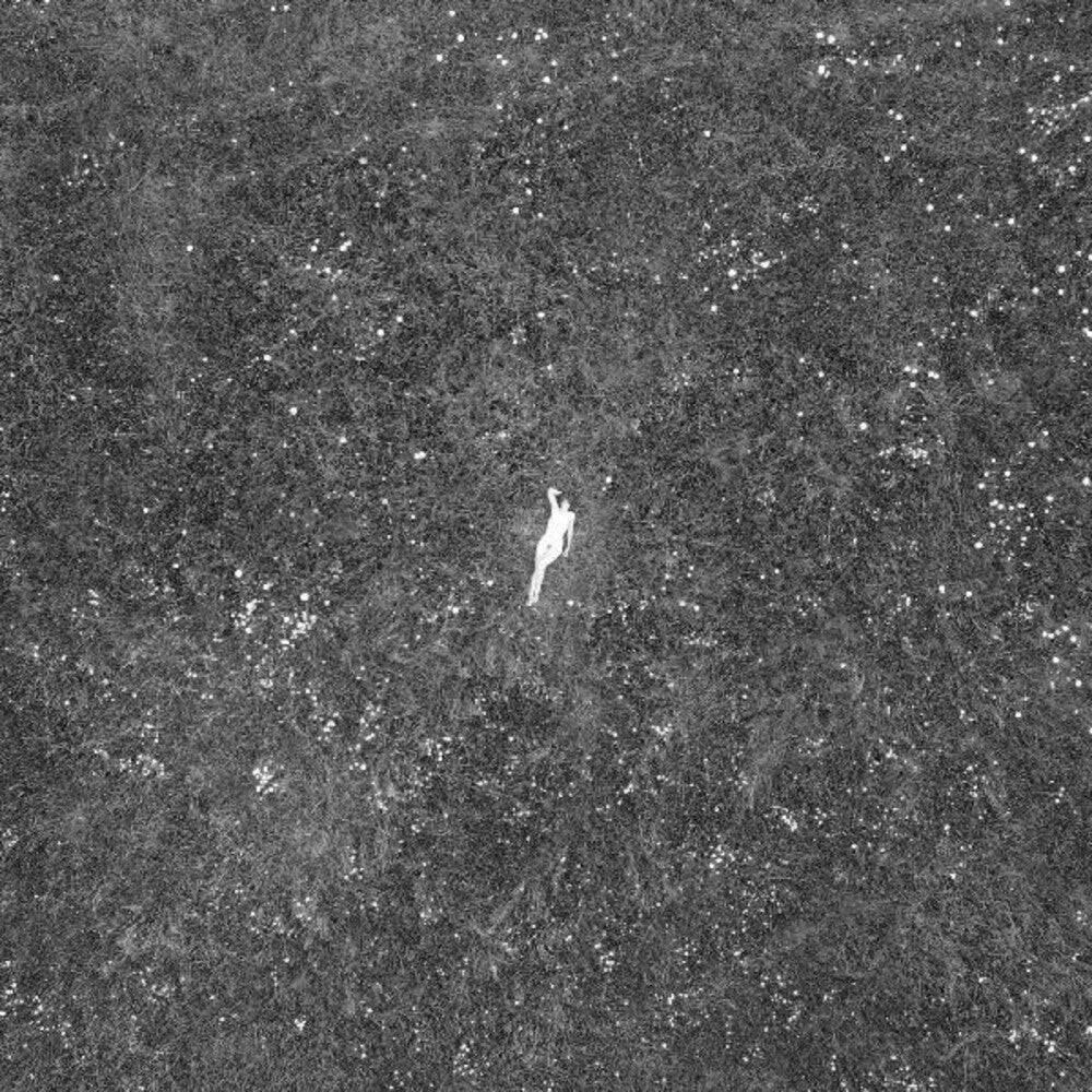 The Last Garden (CD) By Birds Of Passage