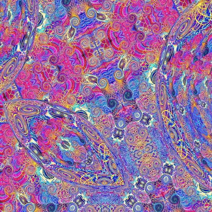 Placenta (2LP) (Vinyl) By Carlos Niño & Friends