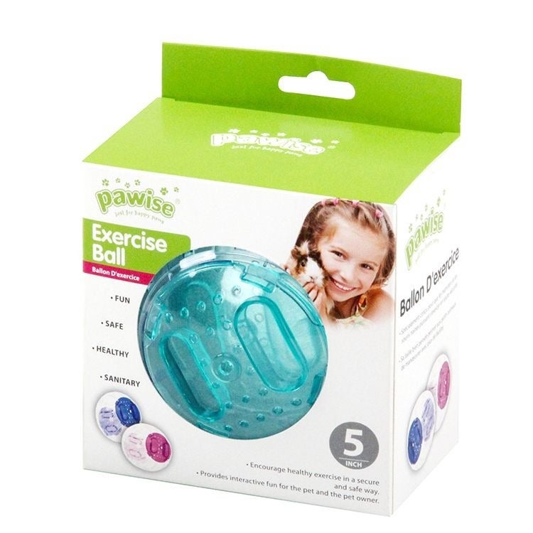 Pawise: Exercise Ball - Small