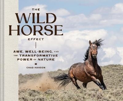 The Wild Horse Effect by Chad Hanson