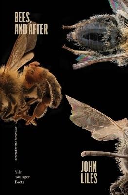 Bees, and After by John Liles