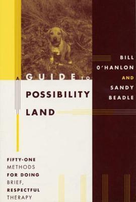 A Guide to Possibility Land by Sandy Beadle, Bill O'Hanlon