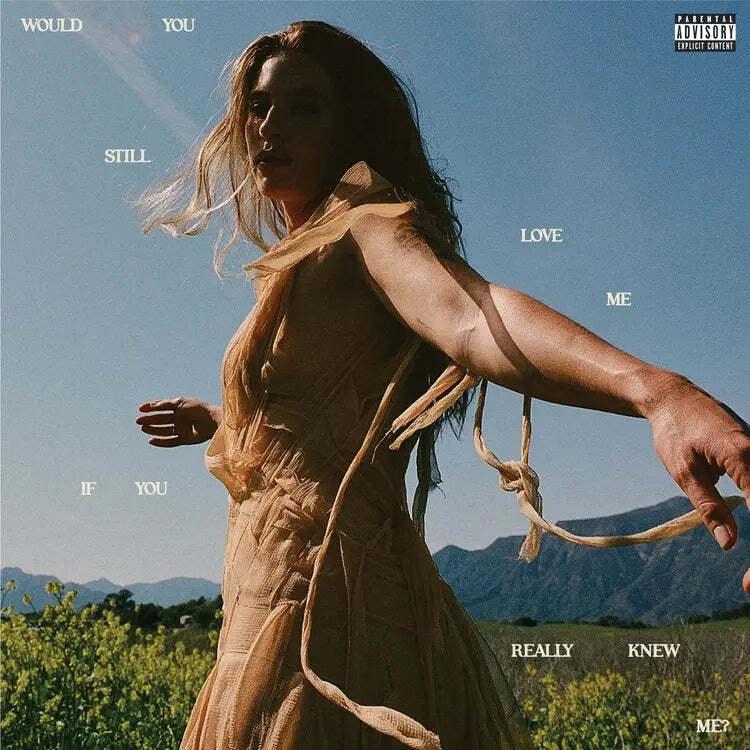 Would You Still Love Me If You Really Knew Me? (Vinyl) By FLETCHER