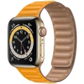 Apple Watch Hermès Series 6 44mm GPS + Cellular Stainless Steel Case [Grade A]
