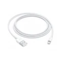 Apple Original Lightning to USB Cable - 1M