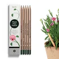 Sprout Wood-Cased Pencils | Spread The Love Edition | HB Pre-Sharpened Graphite Plantable Wooden Pencils with Flower, Herb & Vegetable Seeds | Gift with Heart-Warming Quotes | 5 Pack