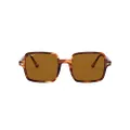 Ray-Ban Women's RB1973 II Square Sunglasses, Striped Havana/Brown Polarized, 53 mm