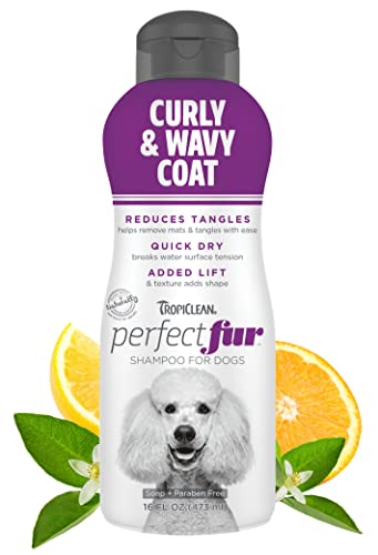 TropiClean PerfectFur Curly & Wavy Coat Shampoo for Dogs, 16oz - Made in USA - Naturally Derived - Curly & Wavy Coat Formula - Detangling & Dematting on Thick Fur & Wiry Breeds Like Poodles & Bichons