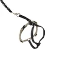 PetSafe Come With Me Kitty Harness and Bungee Leash, Harness for Cats, Small, Black/Silver