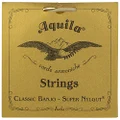 Aquila New Nylgut AQ-1B Banjo Medium Tension DBGDG-Set of 5 (4th Red Series String)