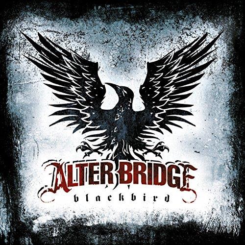 Blackbird