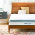 Linenspa 10 Inch Memory Foam and Spring Hybrid Mattress - Medium Feel - Bed in a Box - Quality Comfort and Adaptive Support - Breathable - Cooling - Perfect for a Guest Bedroom - Queen Size