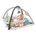 Fisher-Price 3 in 1 Music, Glow & Grow Gym, Infant Activity Play Mat for Tummy Time, Take Along, Multi