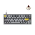 Keychron Q2 Wired Custom Mechanical Keyboard Knob Version, 65% Layout QMK/VIA Programmable Macro with Hot-swappable Gateron G Pro Brown Switch Double Gasket Compatible with Mac Windows Linux (Grey)