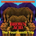 BROWN ACID - THE FOURTEENTH TRIP