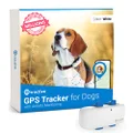Tractive GPS Tracker & Health Monitoring for Dogs - Market Leading Pet GPS Location Tracker Wellness & Escape Alerts Waterproof Works with Any Collar (White)