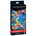 Prismacolor Col-Erase Erasable Colored Pencils with eraser, pack of 12, assorted colors