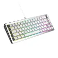 Cooler Master CK720 Hot-Swappable 65% Silver/White Mechanical Gaming Keyboard, Kailh Box V2 Linear Red Switches, Customizable RGB, USB-C Connectivity, 3-Way Dial, QWERTY (CK-720-SKKR1-US)