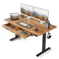 FEZIBO Adjustable Height Electric Standing Desk with Double Drawer, 55x 24 Inches Stand Up Home Office Desk with Splice Tabletop, Black Frame/Fir Brown Top