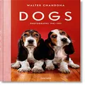Dogs: Photographs 1941-1991